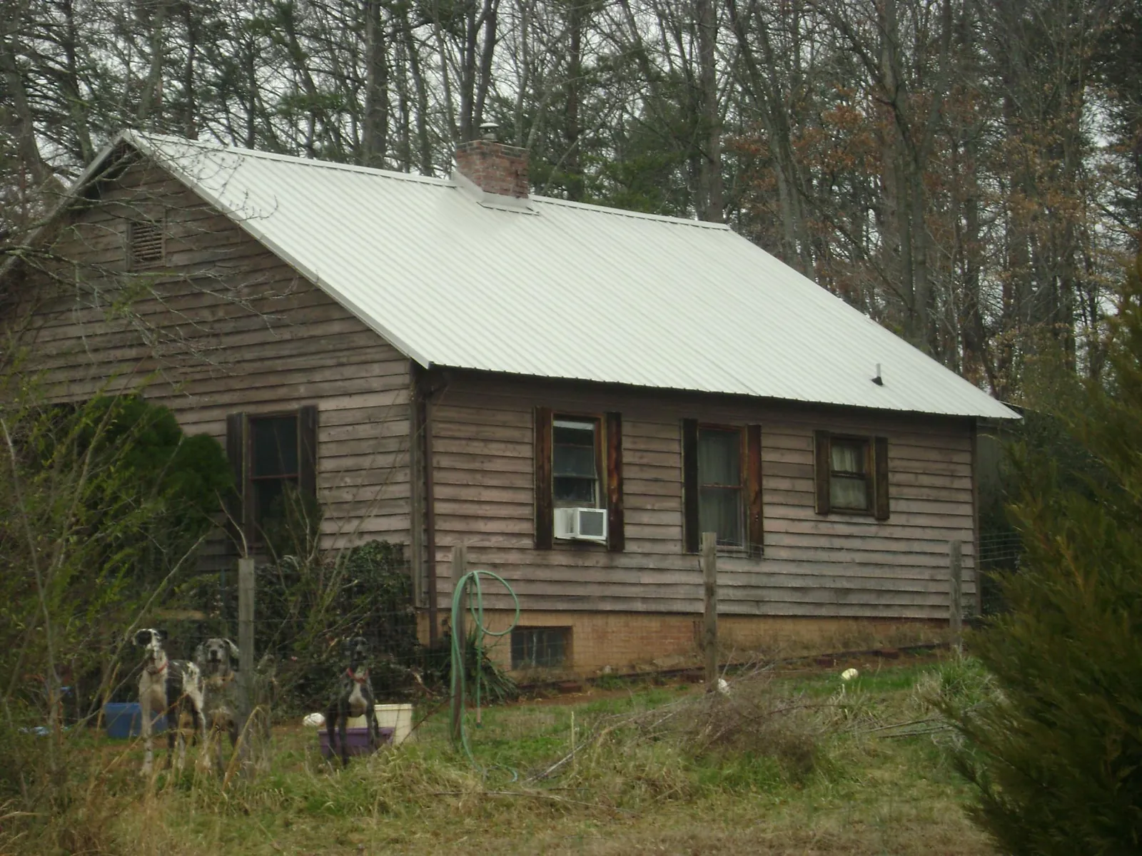 White metal roof on an old wood sided farmhouse, from a Asphalt Shingle Roof Repair job in Kamas